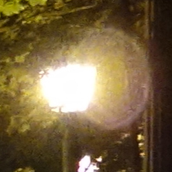 đánh giá Sony RX100