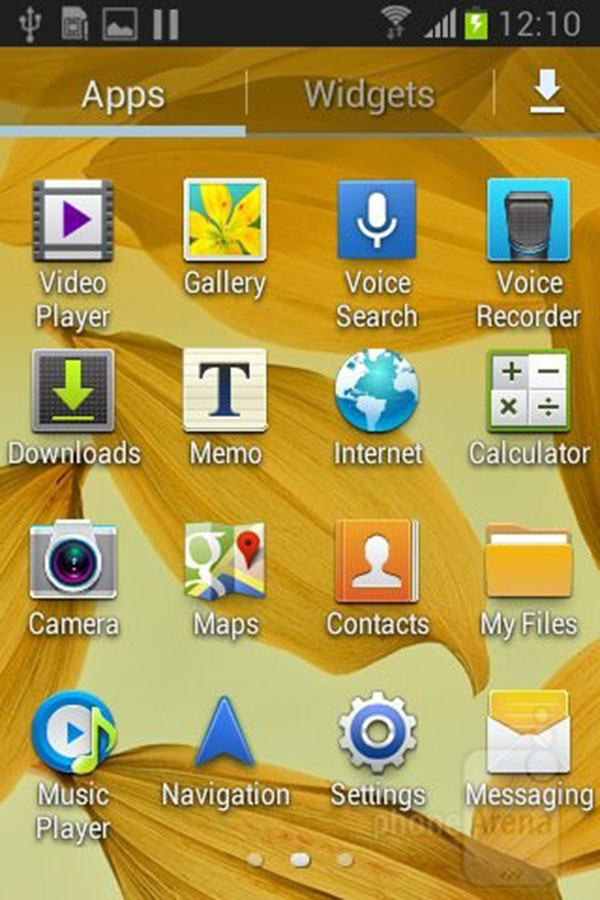 Galaxy Young Duos 2013