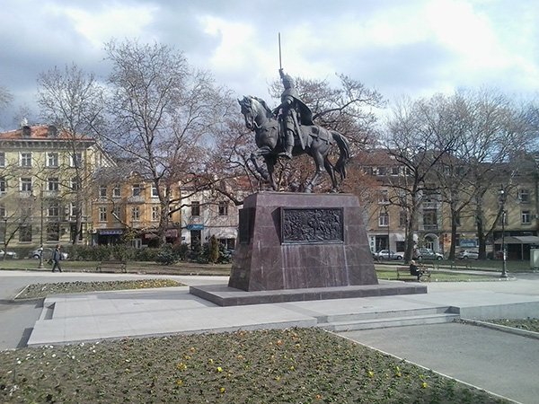 Galaxy Young Duos 2013