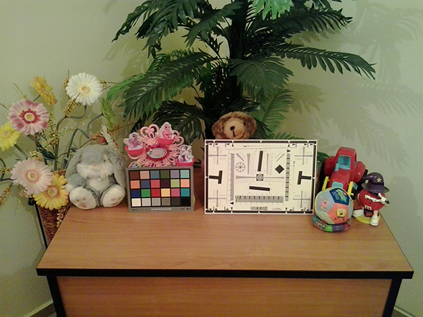 Galaxy Young Duos 2013