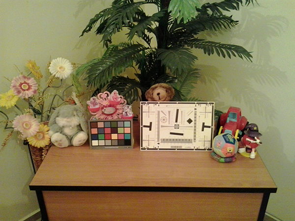 Galaxy Young Duos 2013