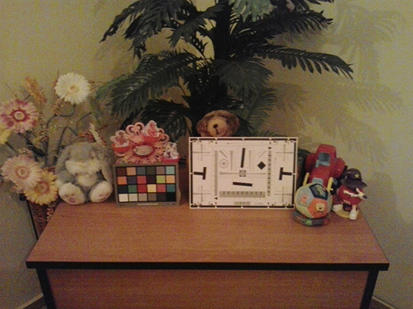 Galaxy Young Duos 2013