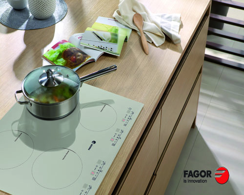 Bếp từ Fagor