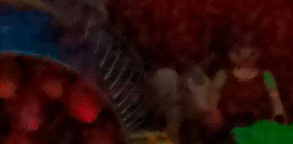 Đánh giá Sony NEX-3N