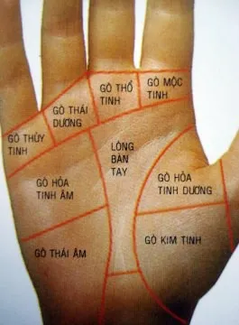 Bốn đặc điểm của bàn tay làm giàu, có một thôi cũng đủ phú quý!