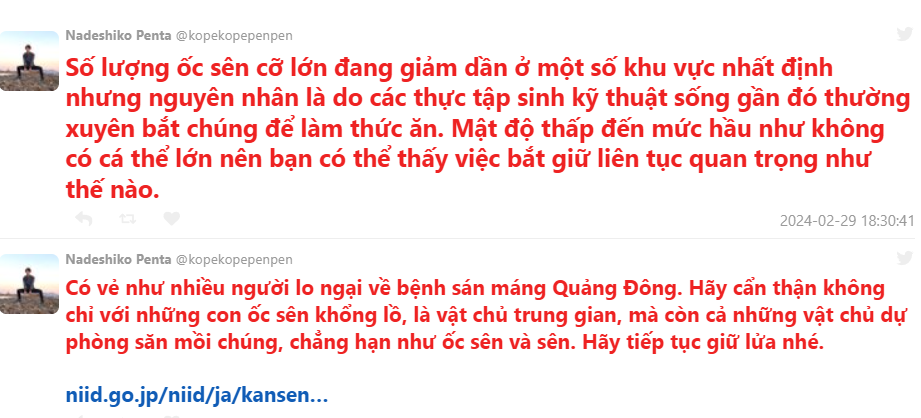 Thực tập sinh Việt Nam “giúp” nông dân Nhật Bản tiêu diệt ốc bươu vàng xâm hại