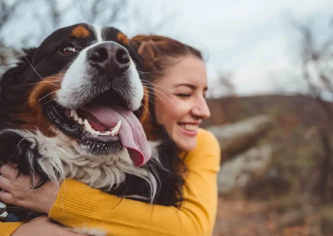 Loài chó có thể xác định “chủ, người quen” qua giọng nói