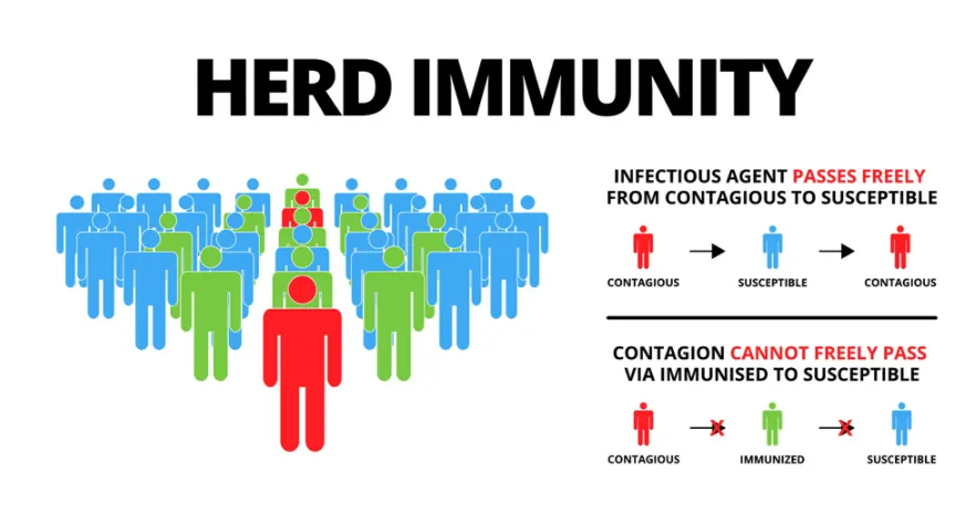 Miễn dịch cộng đồng là gì? Covid 19 liệu có thể kết thúc bằng miễn dịch cộng đồng không?