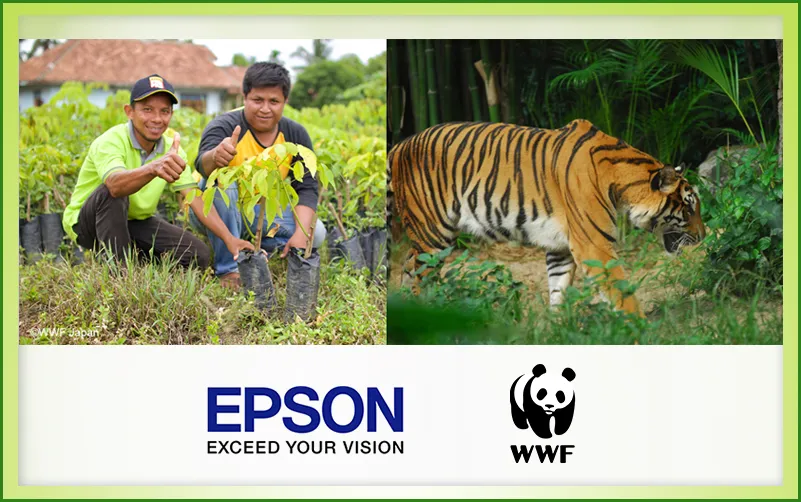 Seiko Epson hợp tác WWF khôi phục và bảo tồn rừng trên toàn cầu