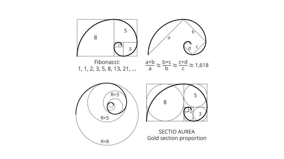 Nhà toán học hàng đầu thời trung cổ Leonardo Fibonacci đã khám phá ra dãy số Fibonacci như thế nào?