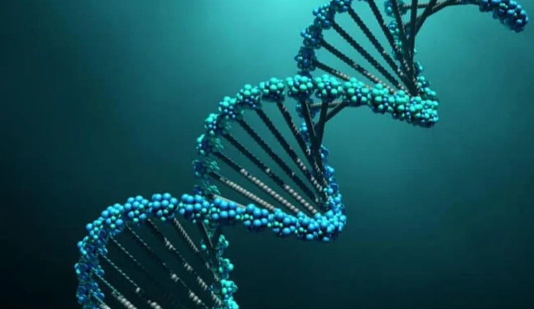 DNA cổ đại từ 1.000.000 năm tuổi được phát hiện ở Nam Cực