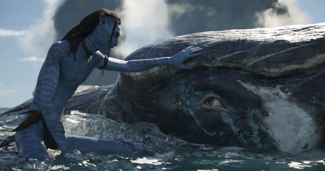 Doanh thu “Avatar: Dòng chảy của nước” vượt “Titanic”, James Cameron là vua phòng vé