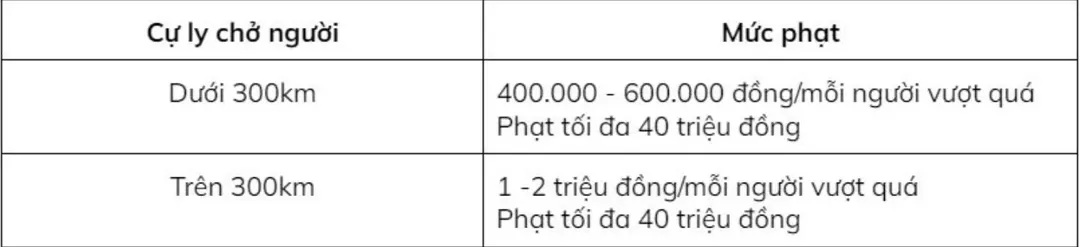 Lái xe vi phạm trong Tết, tra cứu lỗi và mức phạt thế nào?