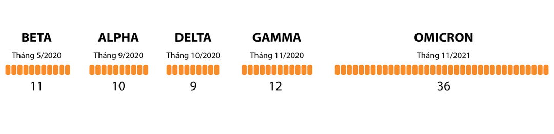 Giải mã đột biến của Omicron