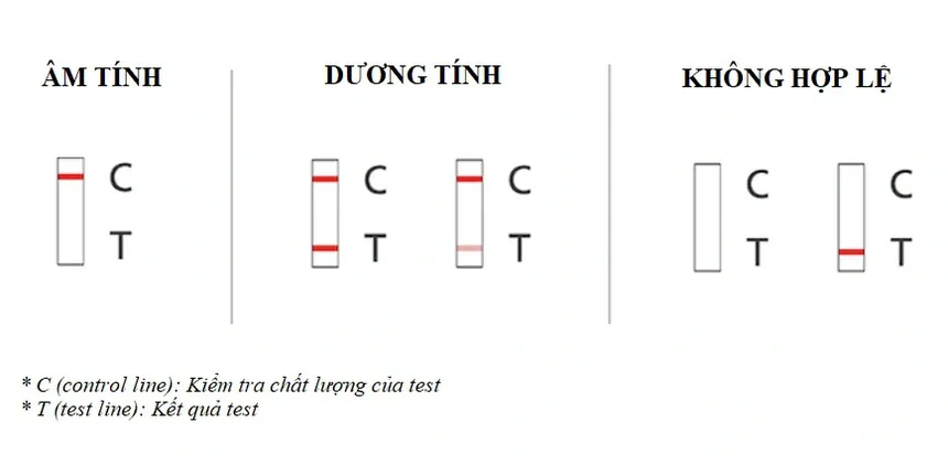 Cách sử dụng và đọc kết quả trên kit test Covid-19 như thế nào?