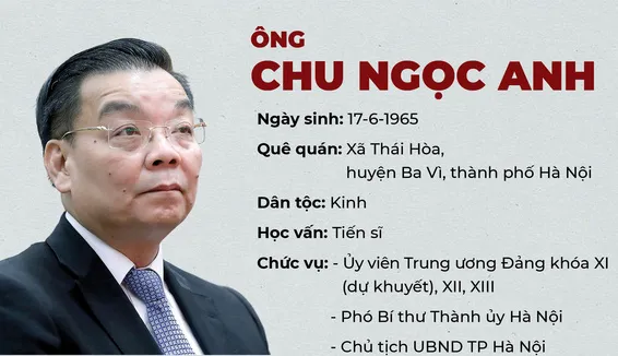 Chu Ngọc Anh và Việt Á liên quan gì đến nhau?