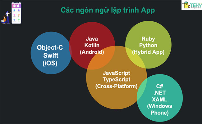 Lập trình ứng dụng di động – Xu hướng nghề nghiệp tương lai