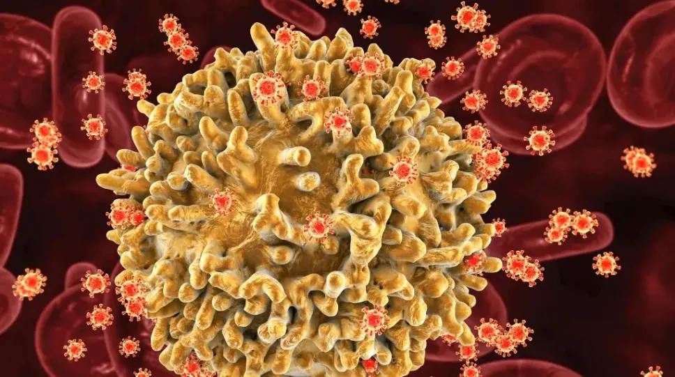 Phát hiện HIV có biến thể mới, tiến triển thành AIDS nhanh hơn và dễ lây hơn