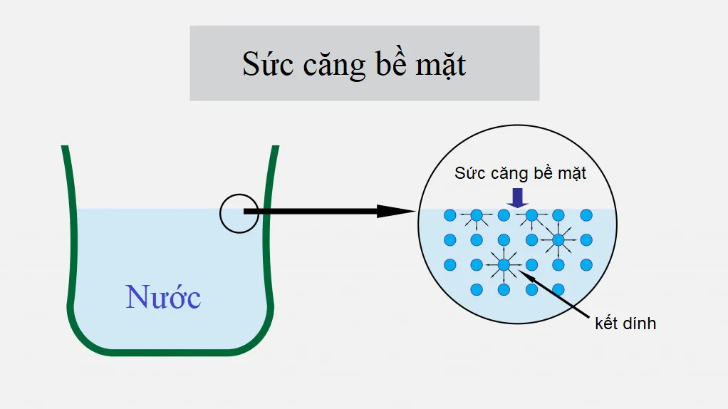 Tại sao chúng ta lại cảm thấy đau khi tiếp nước bằng bụng?