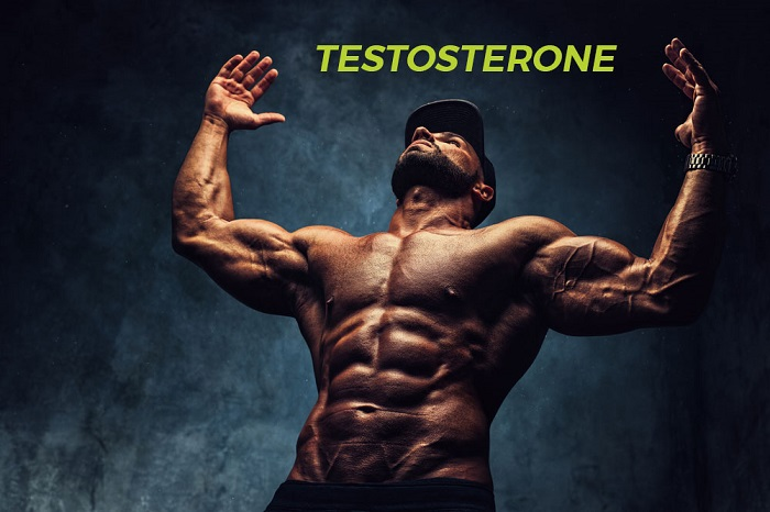 Testosterone ảnh hưởng như thế nào đến thành công?