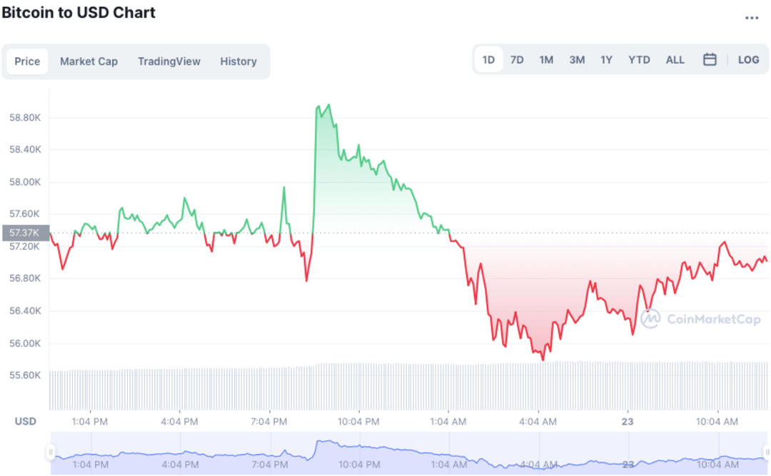 Giá Bitcoin tiếp tục giảm, không thể trở lại ngưỡng 60.000 USD