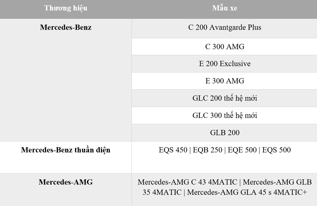 Mercedes-Benz Việt Nam tổ chức lái thử xe trên toàn quốc