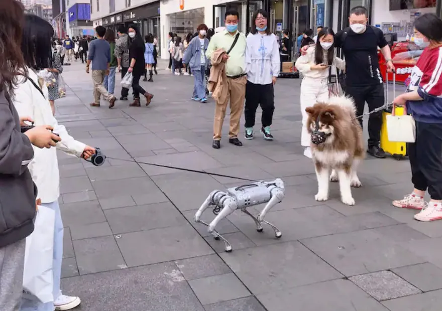 Người dân Trung Quốc lại có thú vui mới: nuôi chó robot làm cảnh