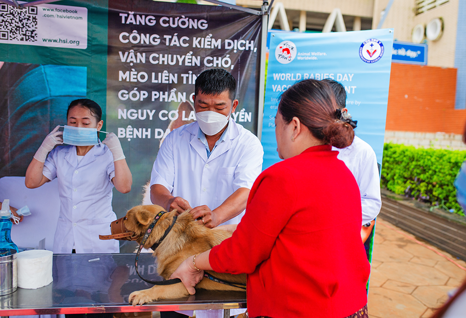 FOUR PAWS hỗ trợ tiêm phòng bệnh dại miễn phí