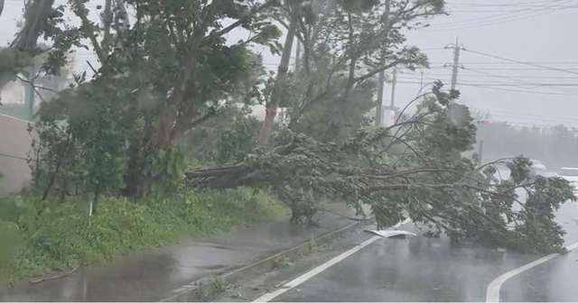 Nhật Bản đón siêu bão Khanun: hàng trăm ngàn người sơ tán, mất điện 