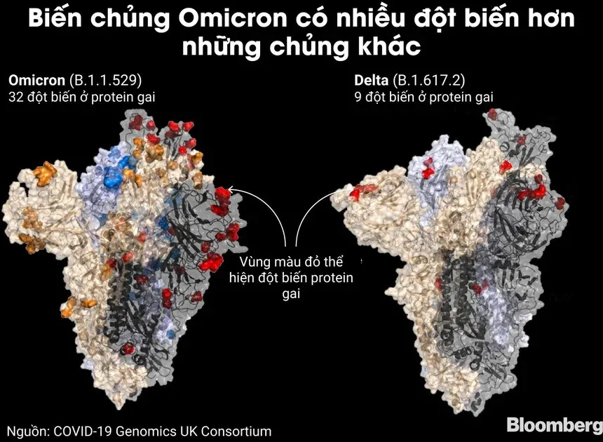 Bí ẩn trong đột biến của biến chủng Omicron