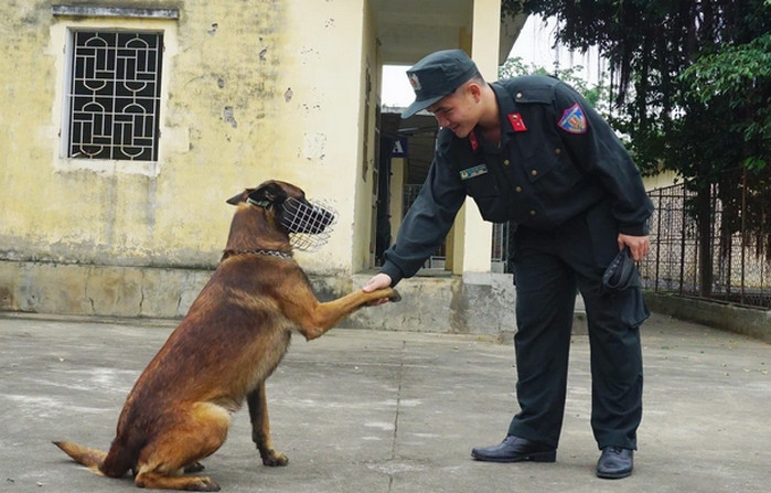 Chó có thể hiểu được hàng trăm từ ngữ mà chúng ta nói