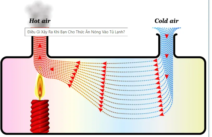 Bảo quản thực phẩm nóng trong tủ lạnh liệu có tốt?