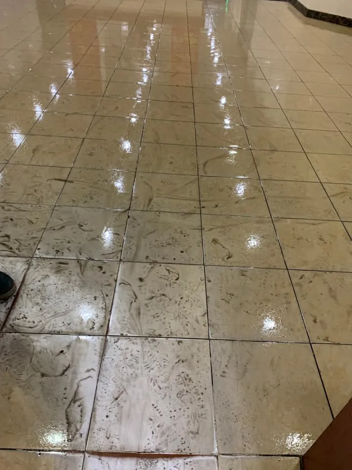 Nồm là gì? Những hình ảnh này cho bạn thấy tại sao người dân hãi nồm thế nào Nồm là gì? Những hình ảnh này cho bạn thấy tại sao người dân hãi nồm thế nào