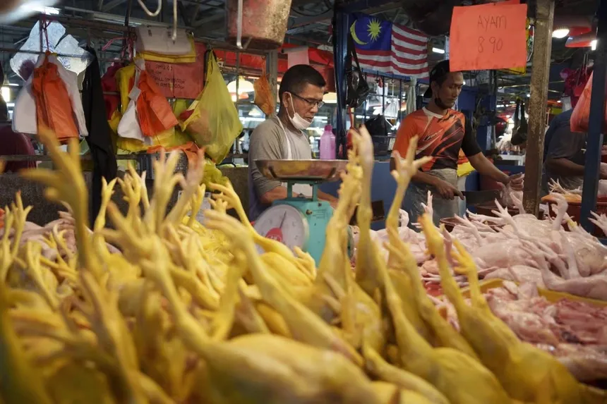 Lệnh cấm của Malaysia làm rúng động ngành cơm gà Singapore Lệnh cấm của Malaysia làm rúng động ngành cơm gà Singapore