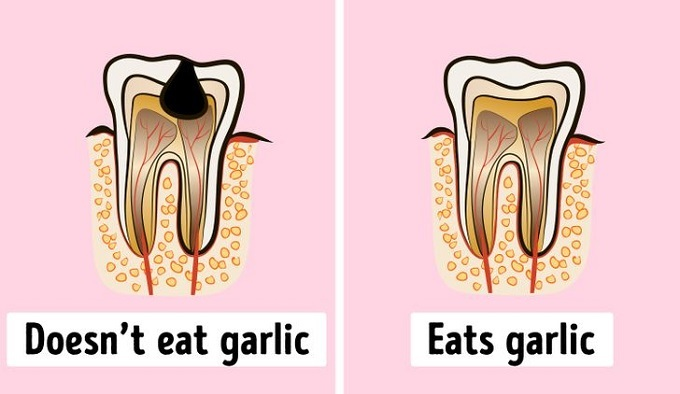 Điều gì xảy ra nếu bạn ăn tỏi mỗi ngày Điều gì xảy ra nếu bạn ăn tỏi mỗi ngày