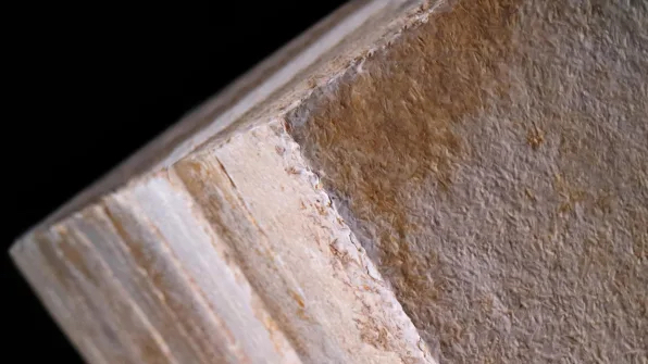 Nấm có thể là vật liệu cách nhiệt cho ngôi nhà của bạn trong tương lai Nấm có thể là vật liệu cách nhiệt cho ngôi nhà của bạn trong tương lai