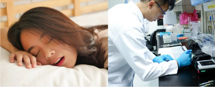 Ngủ quá nhiều không tốt cho não, có thể mắc Alzheimer? Ngủ quá nhiều không tốt cho não, có thể mắc Alzheimer?