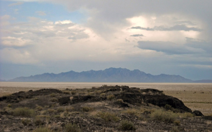 Chất độc thần kinh này đã giết chết hàng ngàn con cừu, buộc Mỹ phải chỉnh sửa luật về vũ khí Chất độc thần kinh này đã giết chết hàng ngàn con cừu, buộc Mỹ phải chỉnh sửa luật về vũ khí