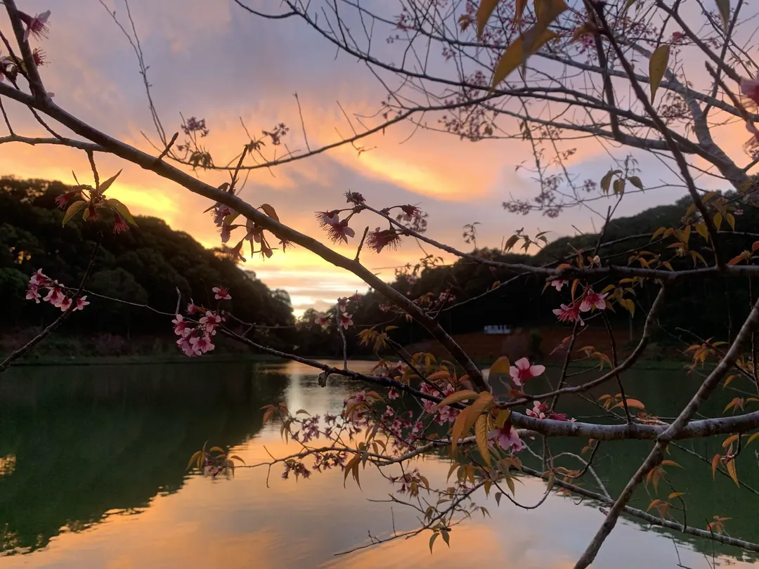 Kinh nghiệm du lịch Tây Nguyên ngon, bổ, rẻ (Phần 2) Kinh nghiệm du lịch Tây Nguyên ngon, bổ, rẻ (Phần 2)