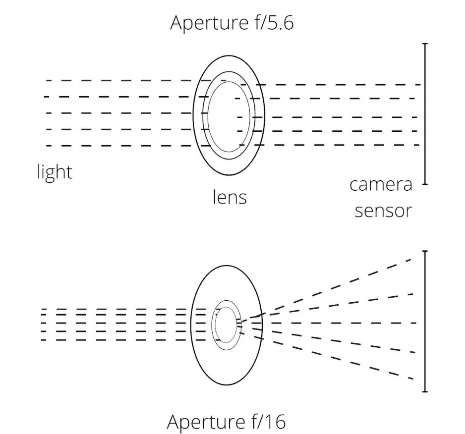 Focus Stacking là gì? Nó có hiệu quả như thế nào trong việc tạo ra hình ảnh siêu sắc nét? Focus Stacking là gì? Nó có hiệu quả như thế nào trong việc tạo ra hình ảnh siêu sắc nét?