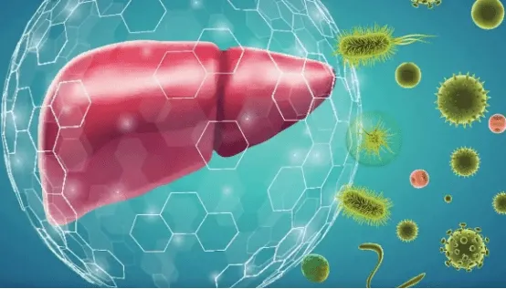 Sau 45 tuổi hãy kiên trì thực hiện 4 lời khuyên này, nó là “công thức” phòng chống ung thư Sau 45 tuổi hãy kiên trì thực hiện 4 lời khuyên này, nó là “công thức” phòng chống ung thư