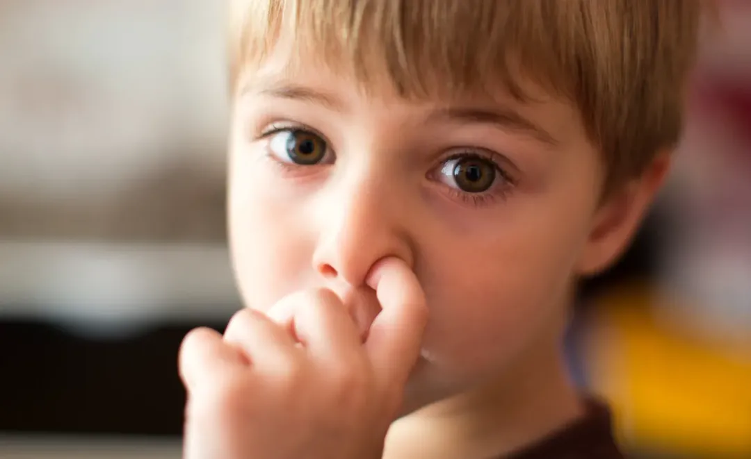 Hành động ngoáy mũi dưới góc nhìn khoa học thực sự nguy hiểm như thế nào? Hành động ngoáy mũi dưới góc nhìn khoa học thực sự nguy hiểm như thế nào?