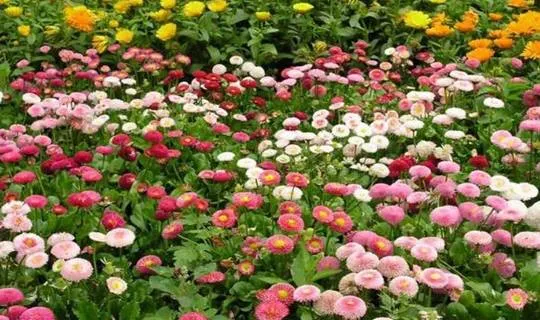 4 chữ số cuối của căn cước công dân là những con số sau, còn trẻ đạt thành tựu, về già hưởng phúc lành 4 chữ số cuối của căn cước công dân là những con số sau, còn trẻ đạt thành tựu, về già hưởng phúc lành