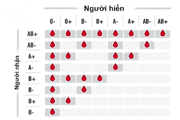 Khoa học tìm ra nhóm máu mới, chỉ có 11 người trên thế giới có Khoa học tìm ra nhóm máu mới, chỉ có 11 người trên thế giới có