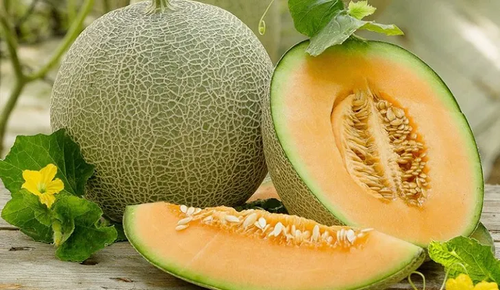 Những đối tượng nào không nên ăn dưa vàng? Những lưu ý khi ăn dưa vàng Những đối tượng nào không nên ăn dưa vàng? Những lưu ý khi ăn dưa vàng