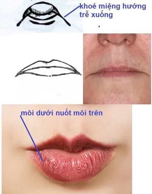 Tướng miệng hay chê bai, khinh người khác Tướng miệng hay chê bai, khinh người khác