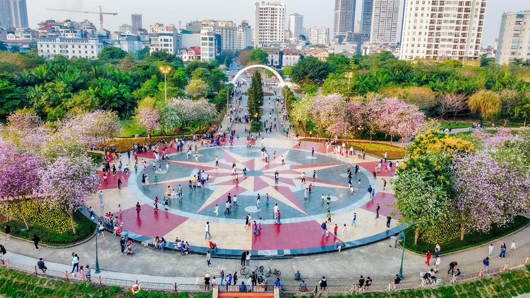 TOP những địa điểm check-in hoa ban cực thơ mộng tại Hà Nội TOP những địa điểm check-in hoa ban cực thơ mộng tại Hà Nội