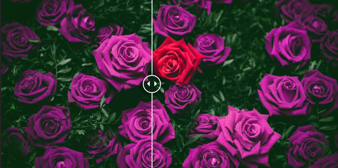 3 cách thay đổi màu sắc đối tượng bằng Adobe Photoshop 3 cách thay đổi màu sắc đối tượng bằng Adobe Photoshop