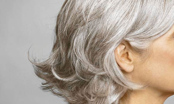Lí giải về hiện tượng tóc bạc trắng sau 1 đêm Lí giải về hiện tượng tóc bạc trắng sau 1 đêm