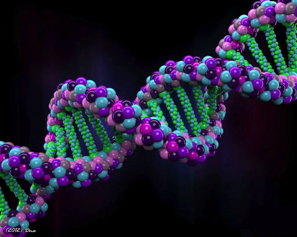 Một xét nghiệm DNA duy nhất có thể phát hiện các rối loạn thần kinh phổ biến Một xét nghiệm DNA duy nhất có thể phát hiện các rối loạn thần kinh phổ biến
